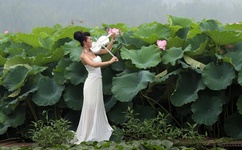 女人公敌完整版百度影音